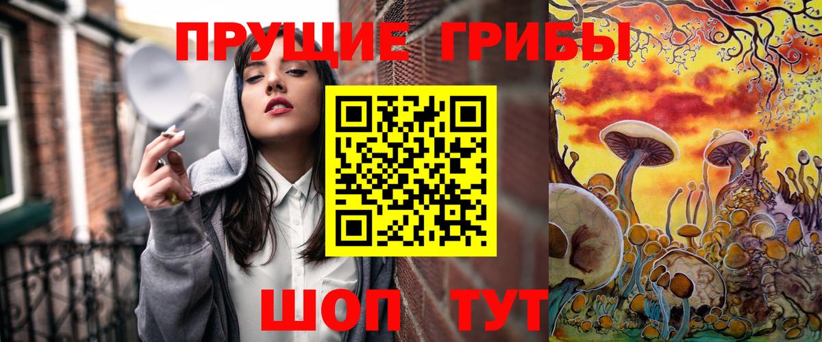 APVP Нижнекамск